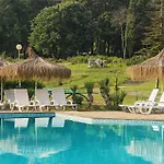Hotel Forest 4*