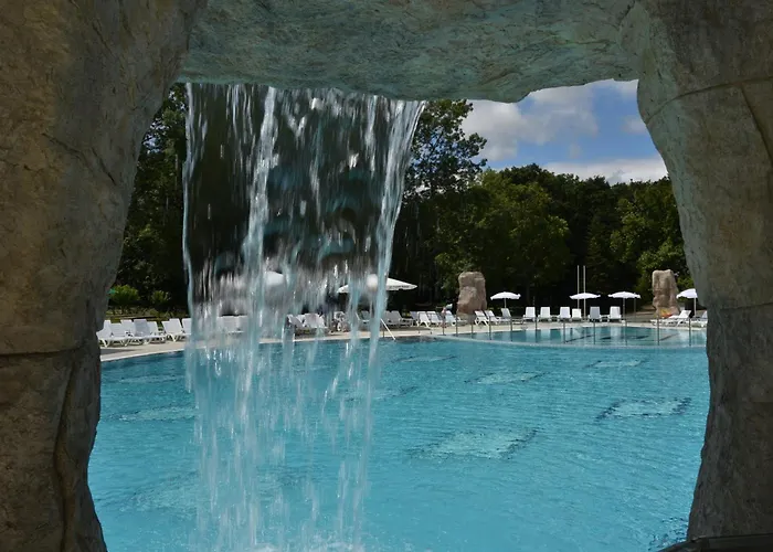 Forest 酒店 普里莫尔斯科