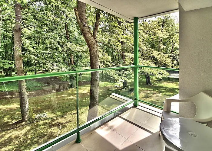 Forest 4* 普里莫尔斯科