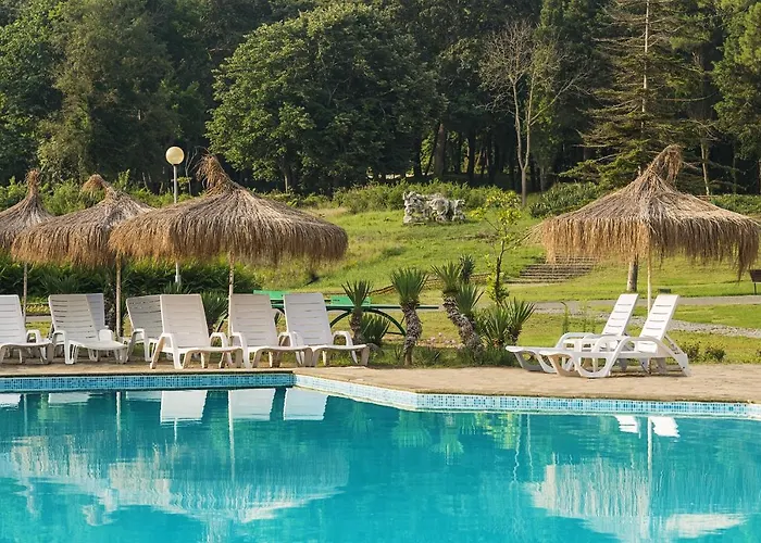 Hotel Forest 4*