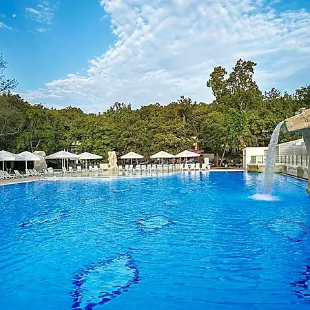 Hotel Forest 4*
