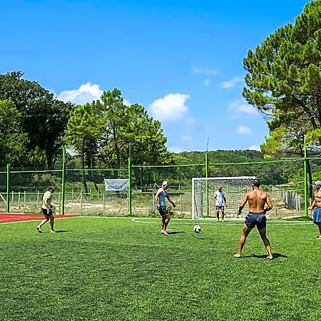 Forest Szálloda 4*