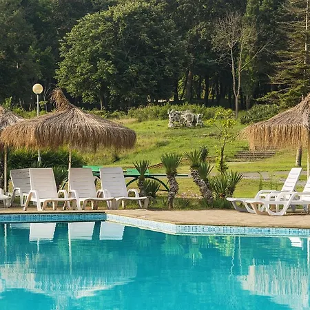 Hotel Forest 4*