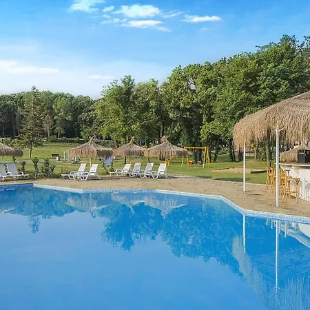 Hotel Forest 4*