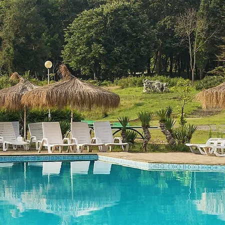 Hotel Forest